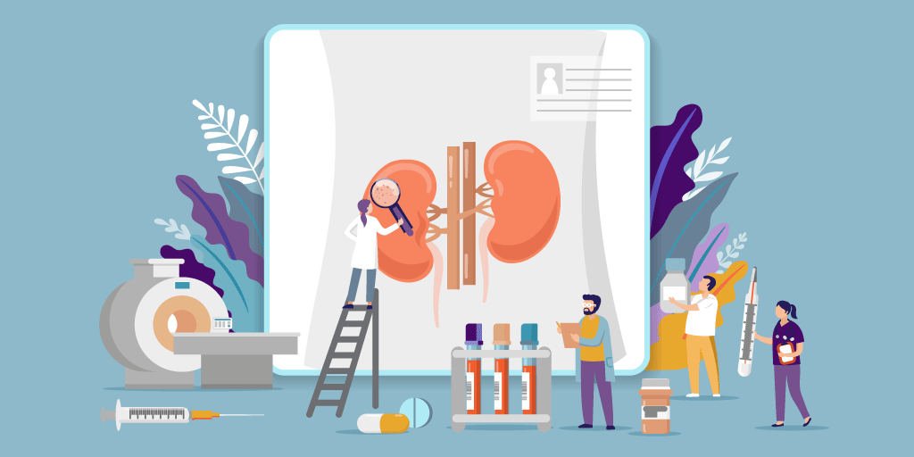 Illustration of providers working on/around kidneys enlarged on a screen